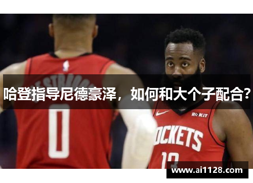 哈登指导尼德豪泽，如何和大个子配合？
